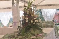 composizione per compleanno Aurora