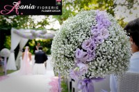 /album/gallery/a98913839-jpg1/