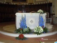 /album/gallery/a2-jpg/