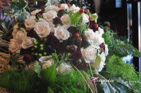 /album/gallery/a5-jpg/